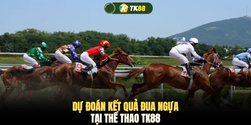 Dự đoán kết quả đua ngựa tại thể thao TK88