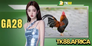 GA28 - Trang Chủ Đá Gà Trực Tuyến Uy Tín Số 1 Châu Á