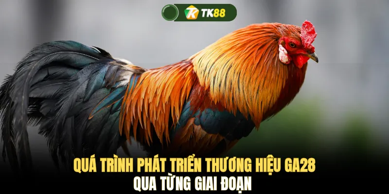 Quá trình phát triển thương hiệu GA28 qua từng giai đoạn