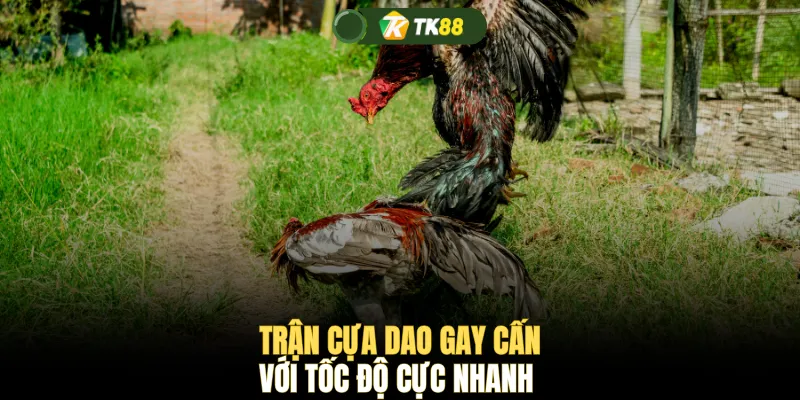 Trận cựa dao gay cấn với tốc độ cực nhanh