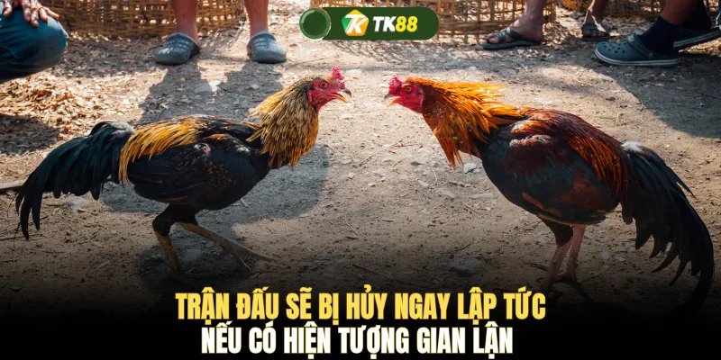 Trận đấu sẽ bị hủy ngay lập tức nếu có hiện tượng gian lận