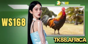 WS168 Trải Nghiệm 150+ Trận Đá Gà Sắc Nét Chuẩn 4K